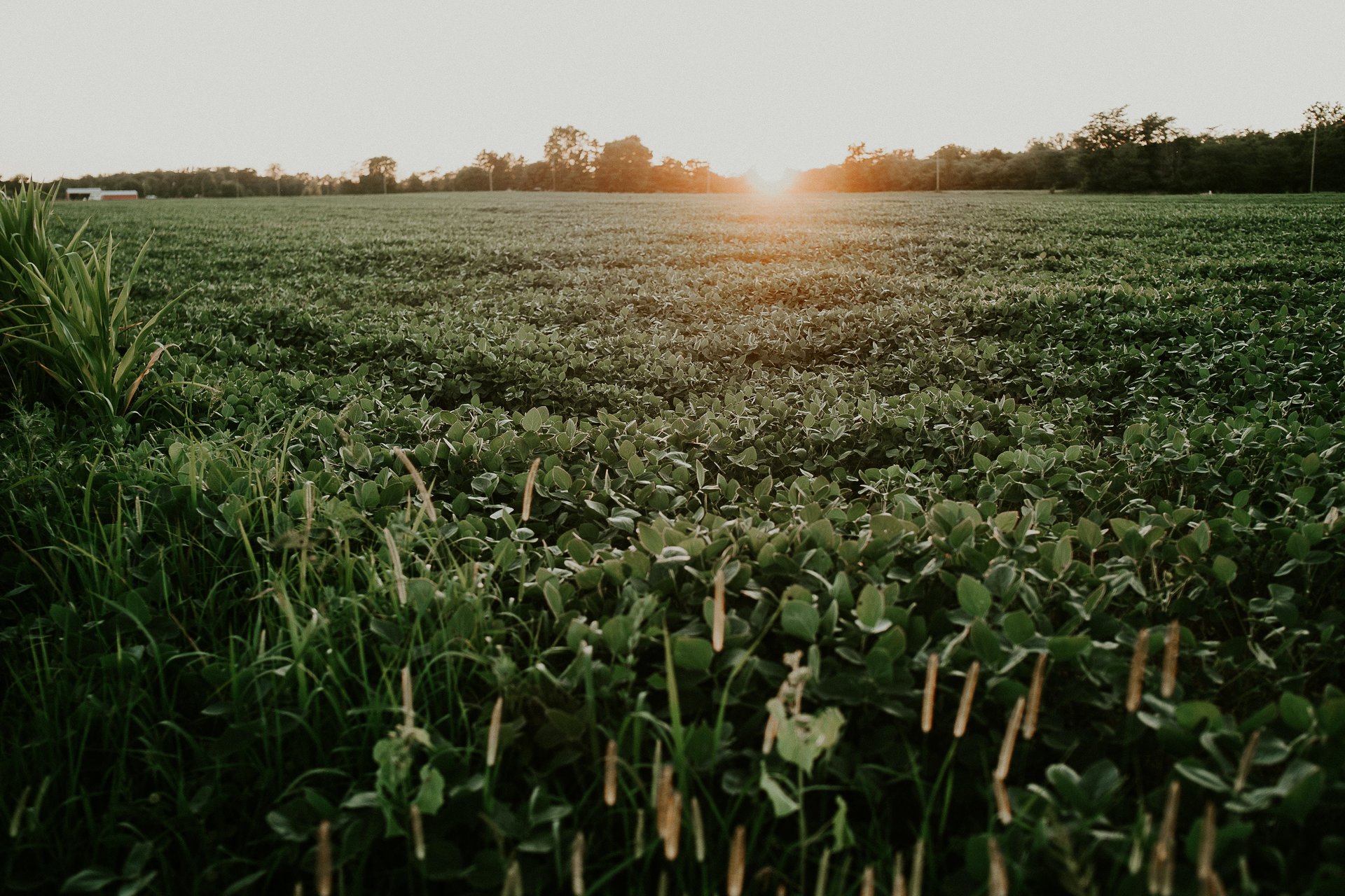 meredith-petrick-TCcA-nibnCc-unsplash (1)